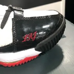 Nike | Shoes | Rare Nwt Nike Lebron Xbi Sb Shoes | Poshmark display picture 1